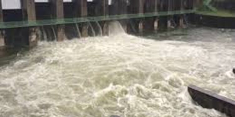 डैम में कूदने जा रही महिला को पुलिस ने बचाया