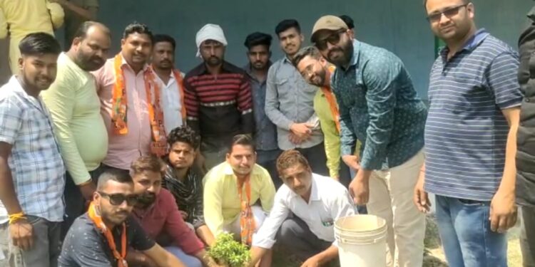 सितारगंज में भाजपा युवा मोर्चा  कार्यकर्ताओं ने किया वृक्षारोपण……