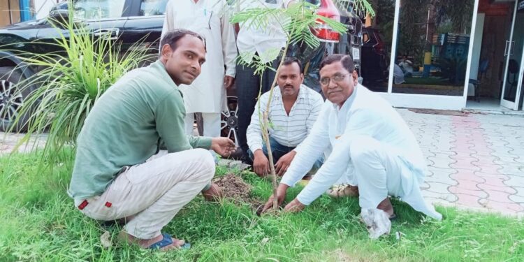 हाजी अब्दुल हसन चेयरमेन पति समाजसेवी ने हरेला पर्व की दीं शुभकामनाएं…….
