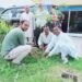 हाजी अब्दुल हसन चेयरमेन पति समाजसेवी ने हरेला पर्व की दीं शुभकामनाएं…….