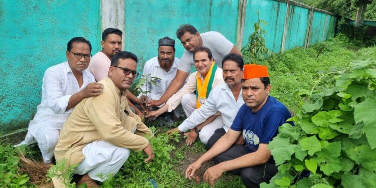 हरेला पर्व पर भाजपा अल्पसंख्यक मोर्चा ने किया वृक्षारोपण…….