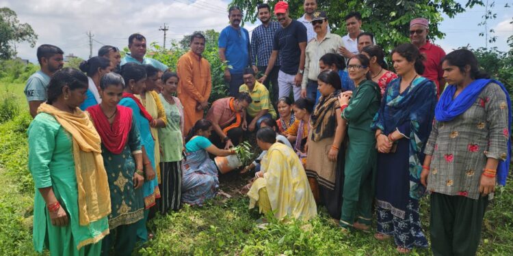 यहाँ ग्राम प्रधान के साथ भाजपा प्रदेश प्रवक्ता ने किया वृक्षारोपण……