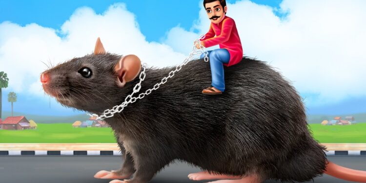 168 चूहे 69 लाख में…….. जाने पूरी कहानी आखिर क्यों…………….