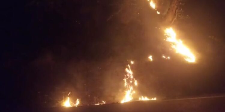 हल्द्वानी – वनाग्नि को रोकने के लिए DFO हिमांशु बागरी अलर्ट, लोगों से अपील कर टोल फ्री नम्बर की दी जानकारी,