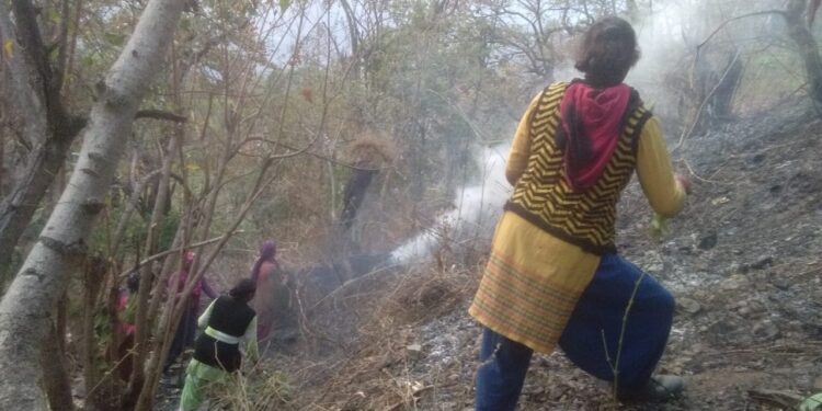 हल्द्वानी में आज इन सात स्थानो में हुई वनाग्नि की घटनायें – पढ़े ख़बर