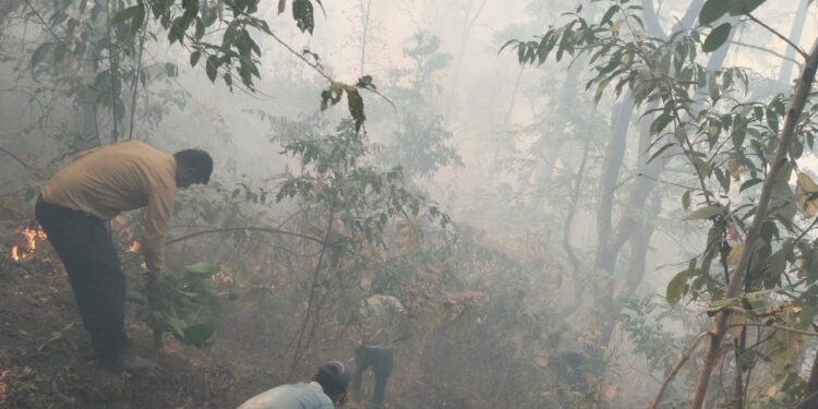 वनाग्नि घटनाओं को रोकने के लिए सक्रियता के साथ किया जा रहा कार्य