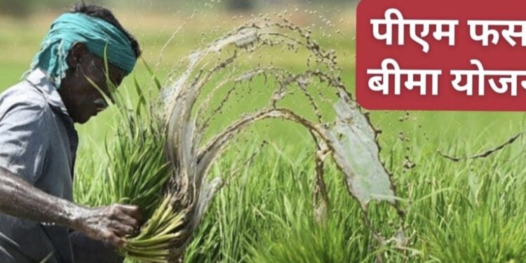 प्रधानमंत्री फसल बीमा योजना मौसम-खरीफ 2024 अन्तर्गत जिला स्तरीय अनुश्रवण समिति की बैठक का किया गया आयोजन