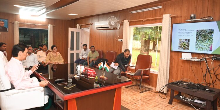 भविष्य में पर्यटकों के साथ-साथ लोगों के लिए आकर्षण का केंद्र बनेगा हल्द्वानी शहर