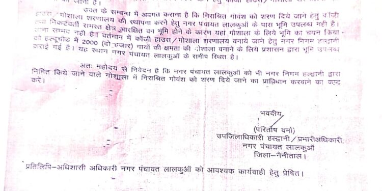 अनुमति मिलते ही नगर पंचायत लालकुआं करवाएगी 300 से 400 गौवंश के लिए शेड का निर्माण ,क्षेत्र को मिलेगी निराश्रित गौवंश से निजात