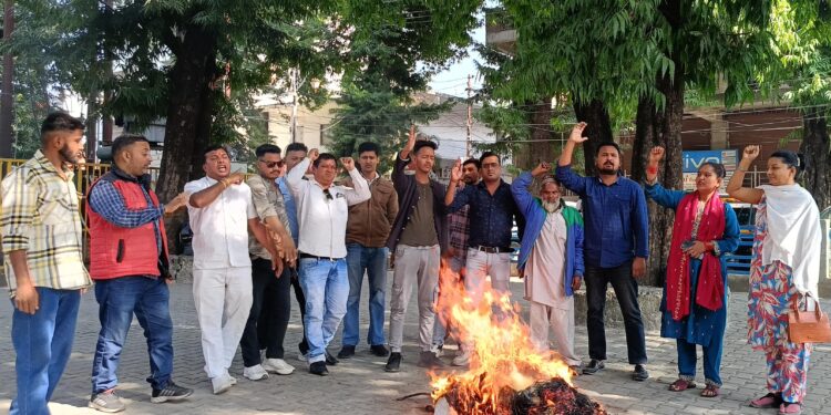 इन मुद्दों को लेकर युवा कांग्रेस के प्रदेश उपाध्यक्ष हेमंत साहू की अगुवाई में जोरदार प्रदर्शन, पूतला भी दहन किया